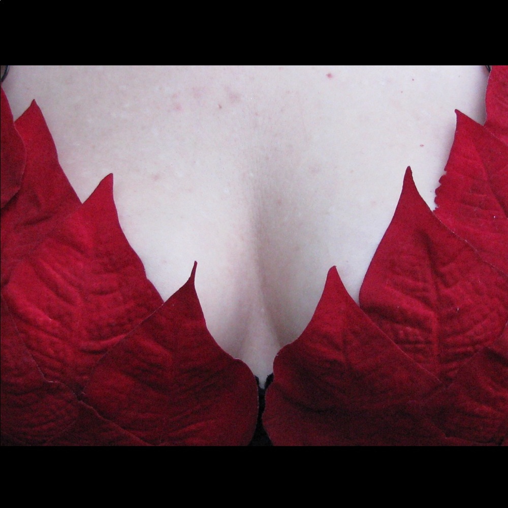 Embellished bra with red petals- 38DD